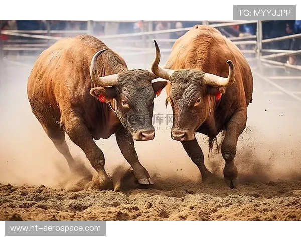 勇士与公牛精彩对决视频回顾分析带你重温比赛精彩瞬间 勇士与公牛精彩对决视频回顾分析带你重温比赛精彩瞬间